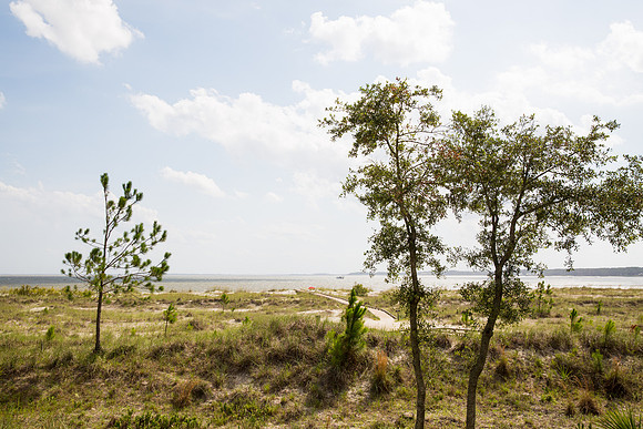 PonskyFamily_HHI_06202019_byTamaraGibsonPhotography_0012